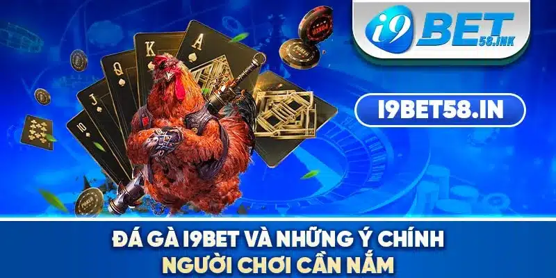 Đá gà I9BET và những ý chính người chơi cần nắm