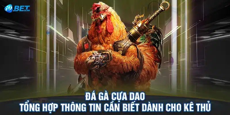 Đá Gà Cựa Dao - Tổng Hợp Thông Tin Cần Biết