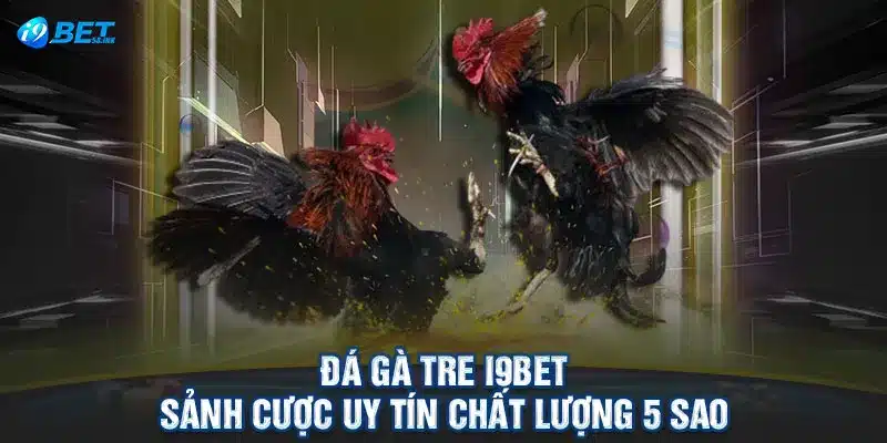 Đá Gà Tre I9BET - Sảnh Cược Uy Tín Chất Lượng 5 Sao