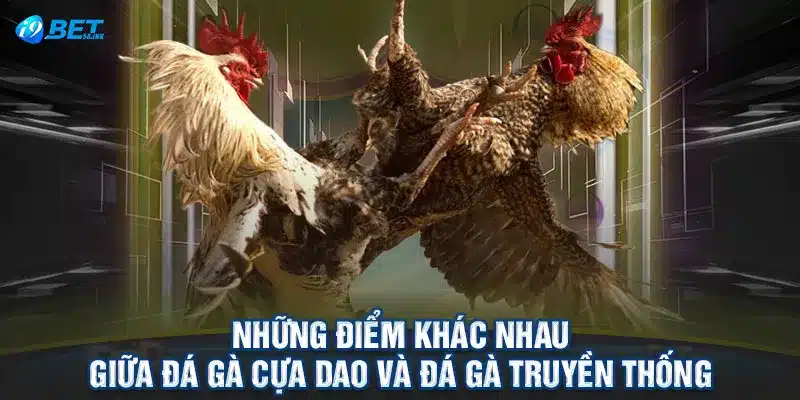 Những điểm khác nhau giữa đá gà cựa dao và đá gà truyền thống