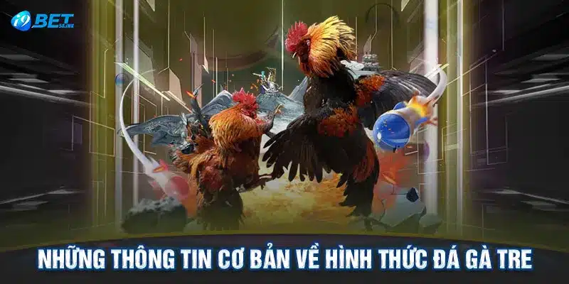 Những thông tin cơ bản về hình thức đá gà tre